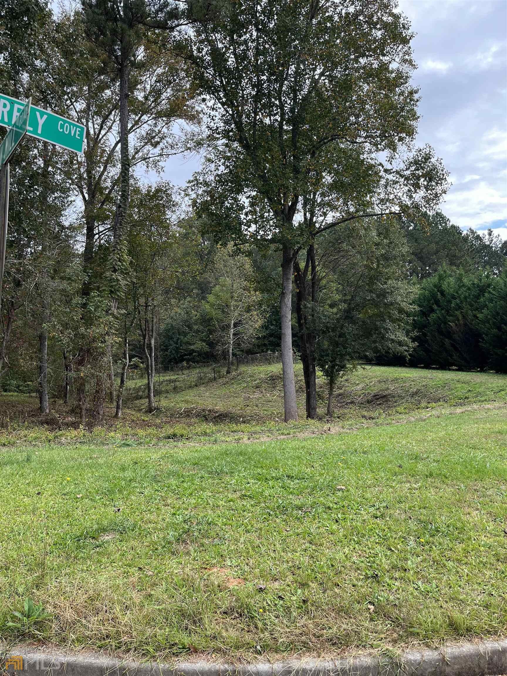 Locust Grove, Henry County, GA Undeveloped Land, Homesites for sale