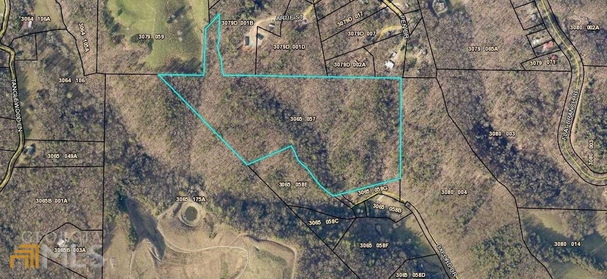 Ellijay, Gilmer County, GA Undeveloped Land for sale Property ID