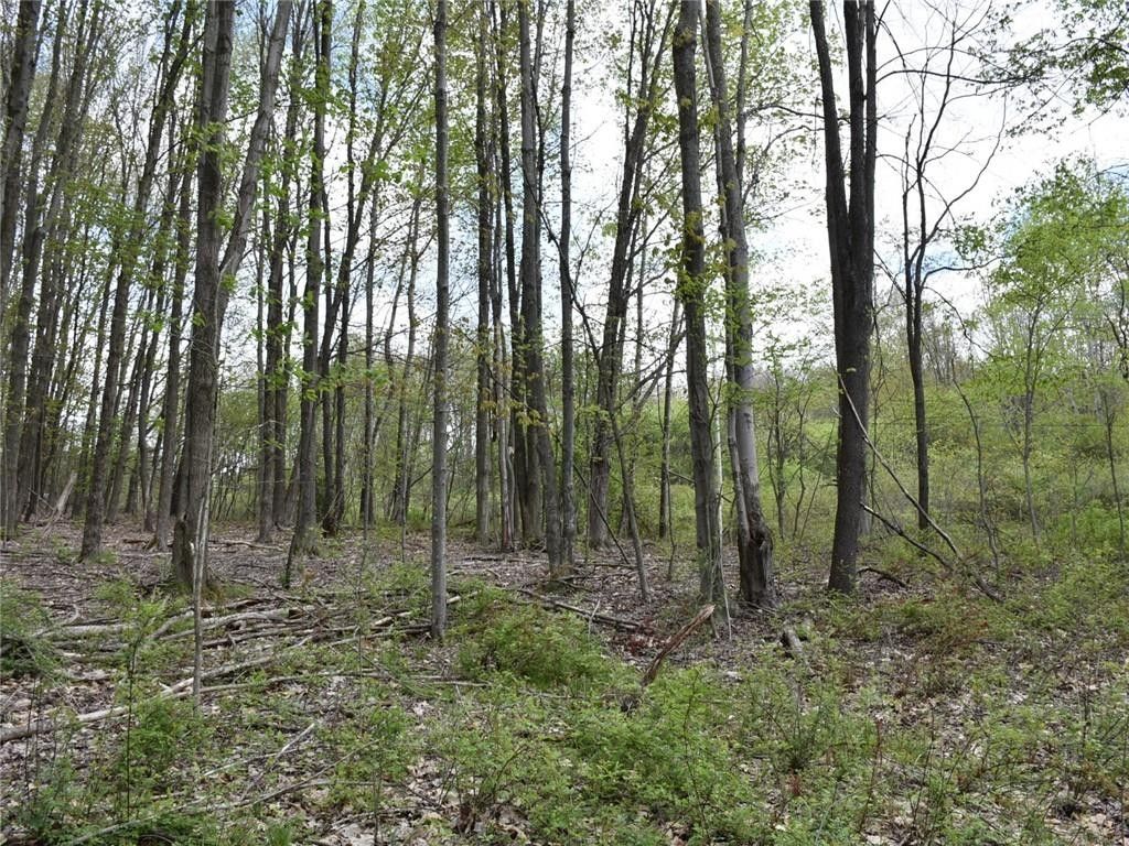 Saegertown, Crawford County, PA Homesites for sale Property ID