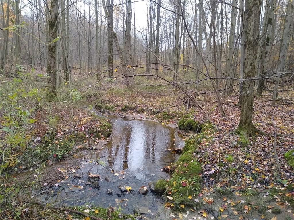 Edinboro, Erie County, PA House for sale Property ID 412056283 LandWatch
