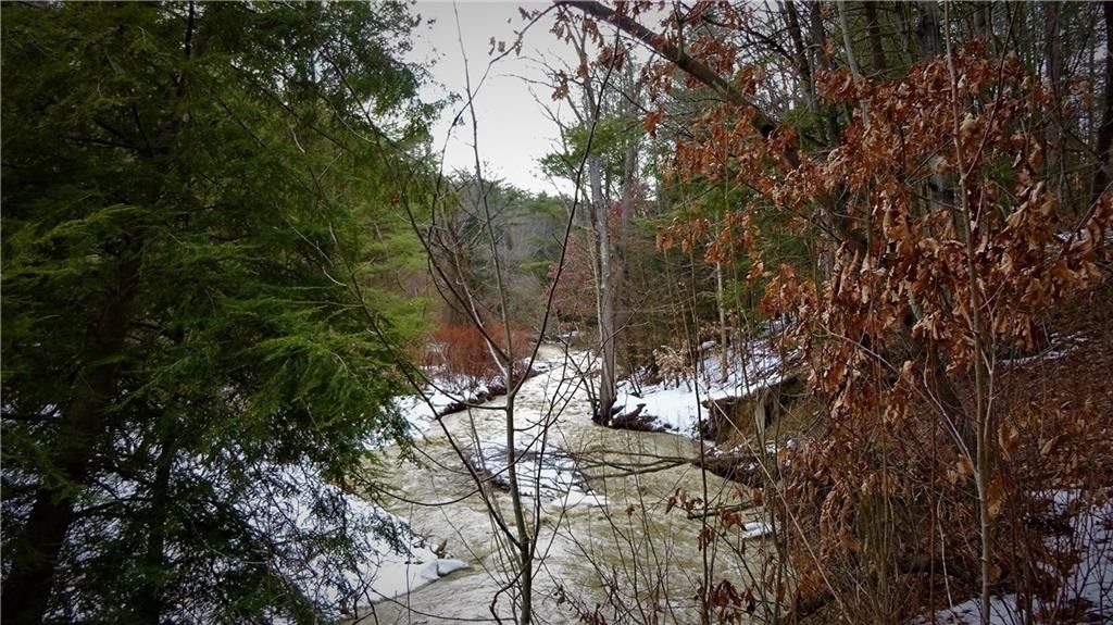 Nichols, Tioga County, NY Undeveloped Land for sale Property ID