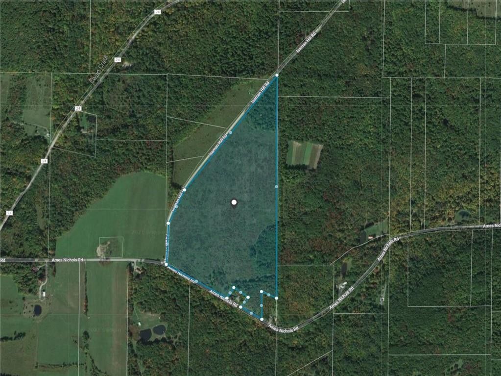 Swain, Allegany County, NY Undeveloped Land for sale Property ID