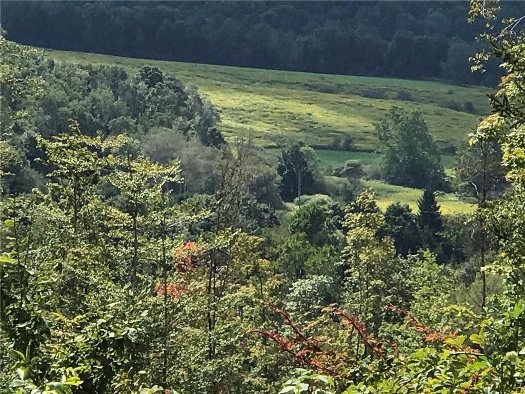 Jamestown, Chautauqua County, NY Undeveloped Land for sale Property ID