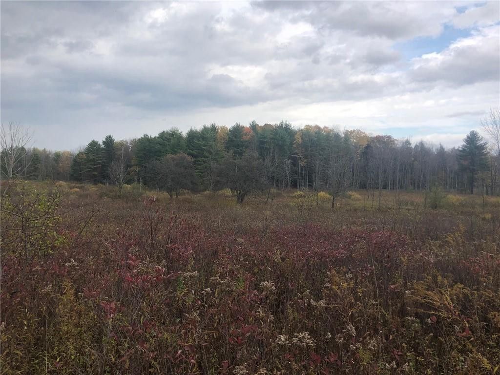 Groton, Tompkins County, NY Undeveloped Land for sale Property ID