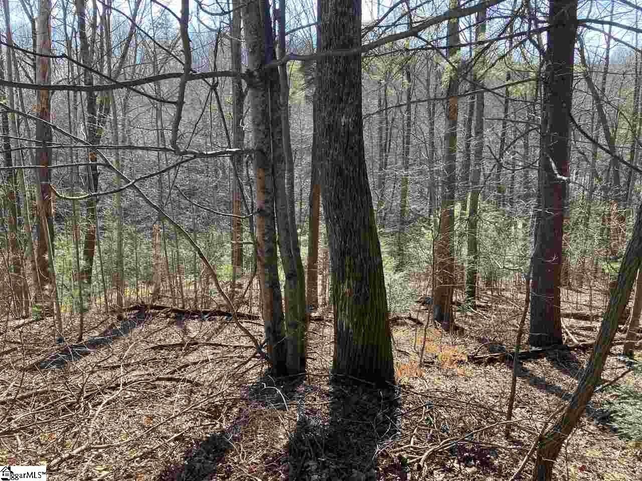 Landrum, Greenville County, SC Undeveloped Land, Homesites for sale