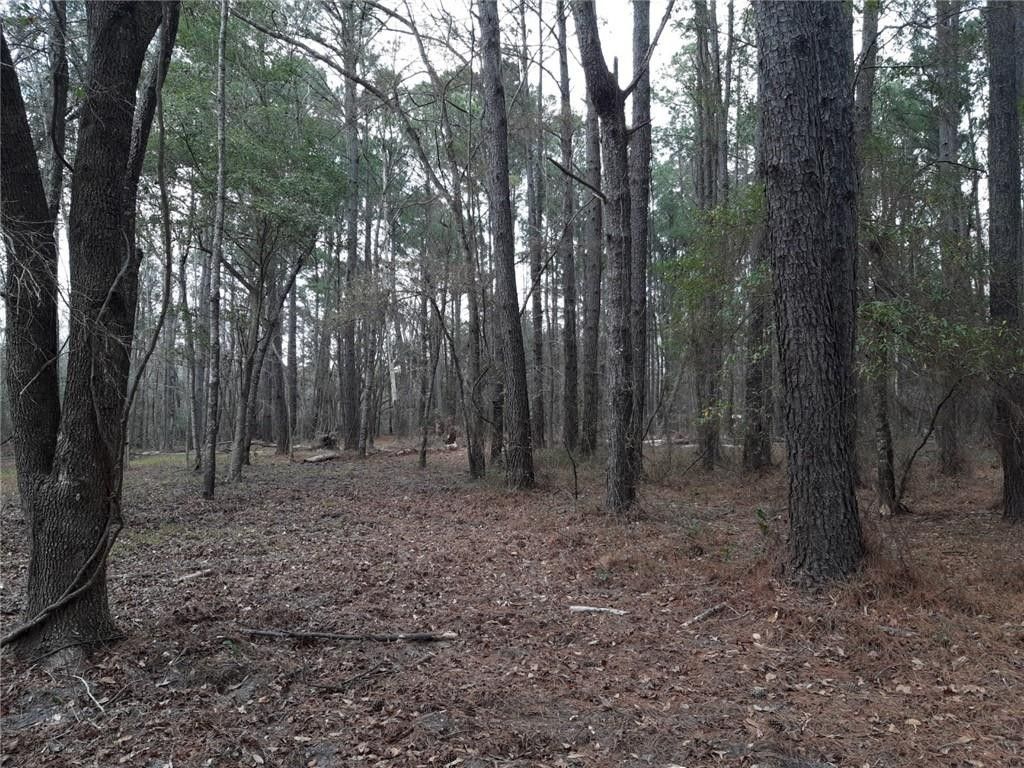 Darien, McIntosh County, GA Undeveloped Land, Homesites for sale