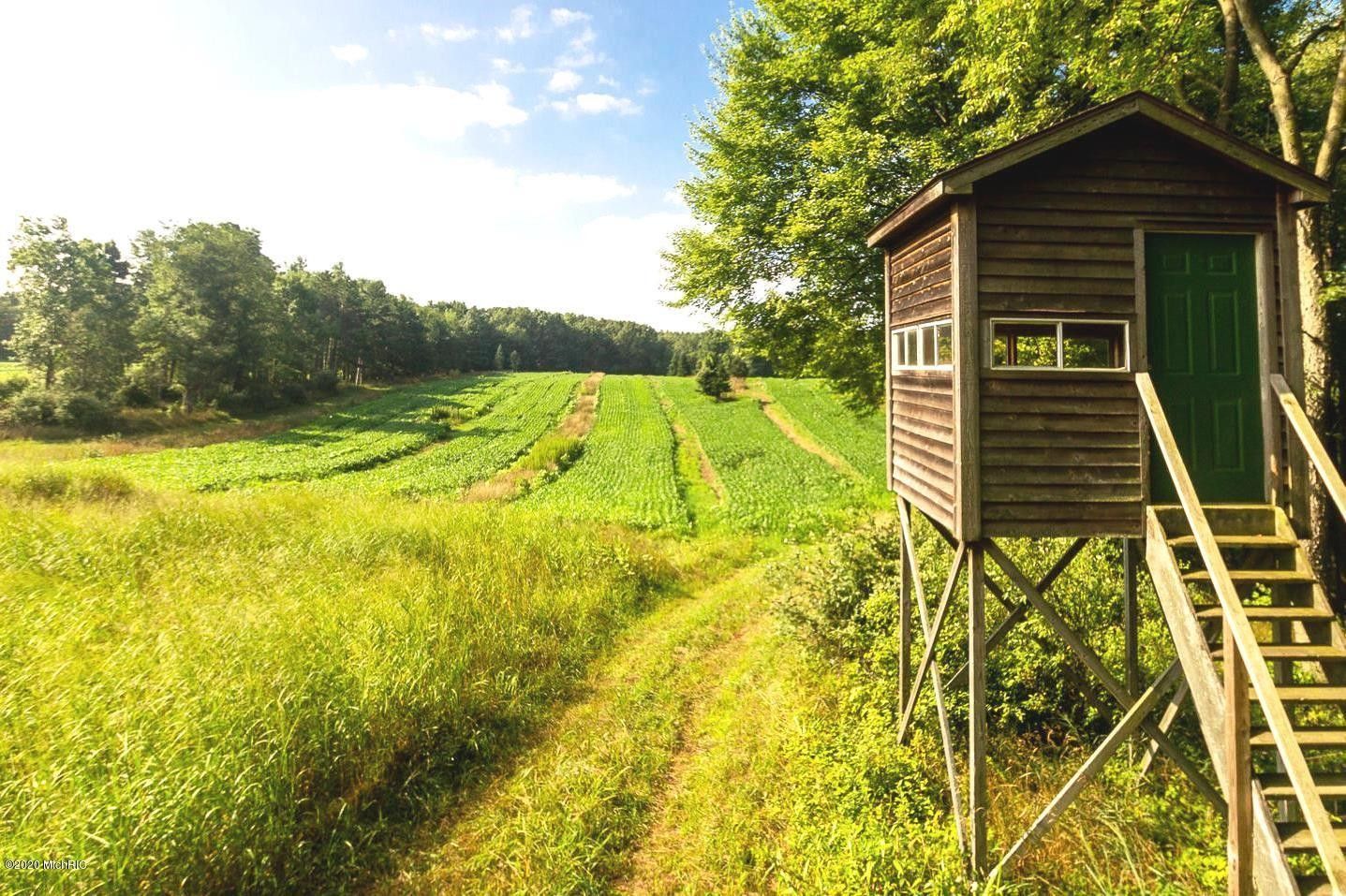 Three Rivers, Saint Joseph County, MI Commercial Property, Lakefront