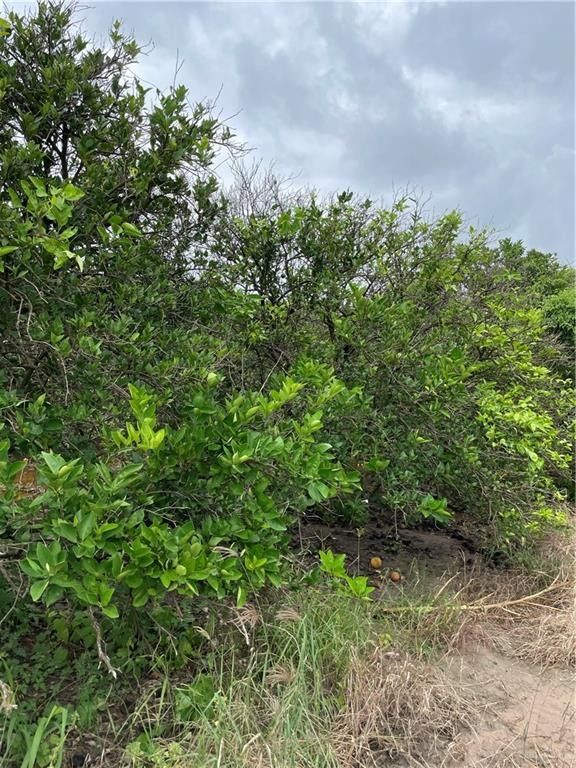 Mission, Hidalgo County, TX Undeveloped Land for sale Property ID