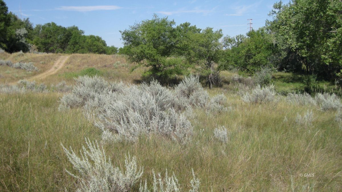 Glendive, Dawson County, MT Farms and Ranches, Homesites for sale