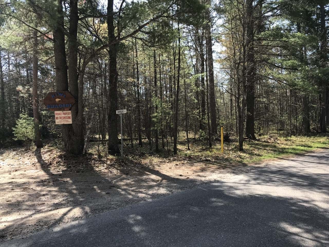 Land O' Lakes, Vilas County, WI Undeveloped Land, Homesites for sale