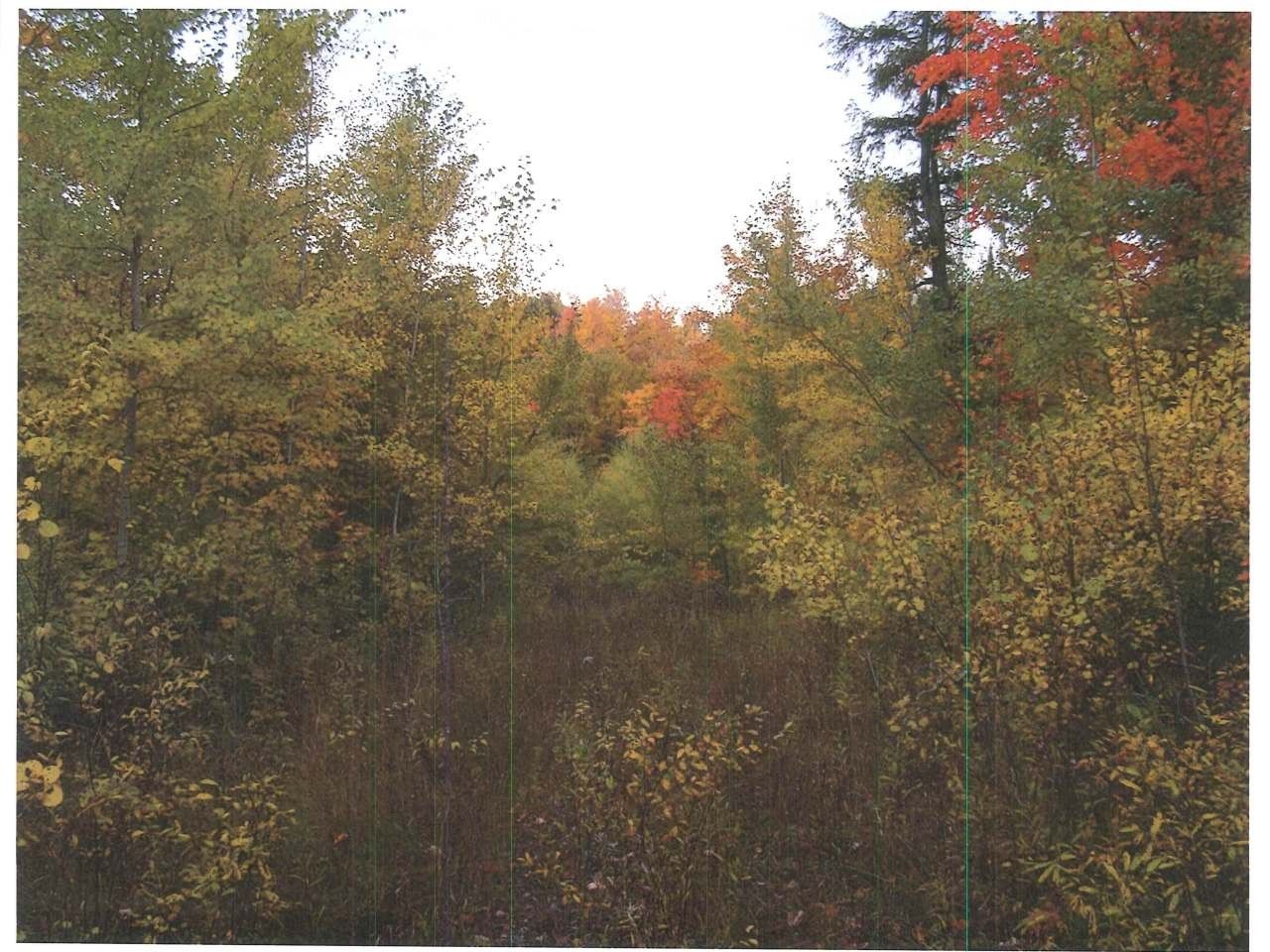 Bergland, Ontonagon County, MI Undeveloped Land for sale Property ID