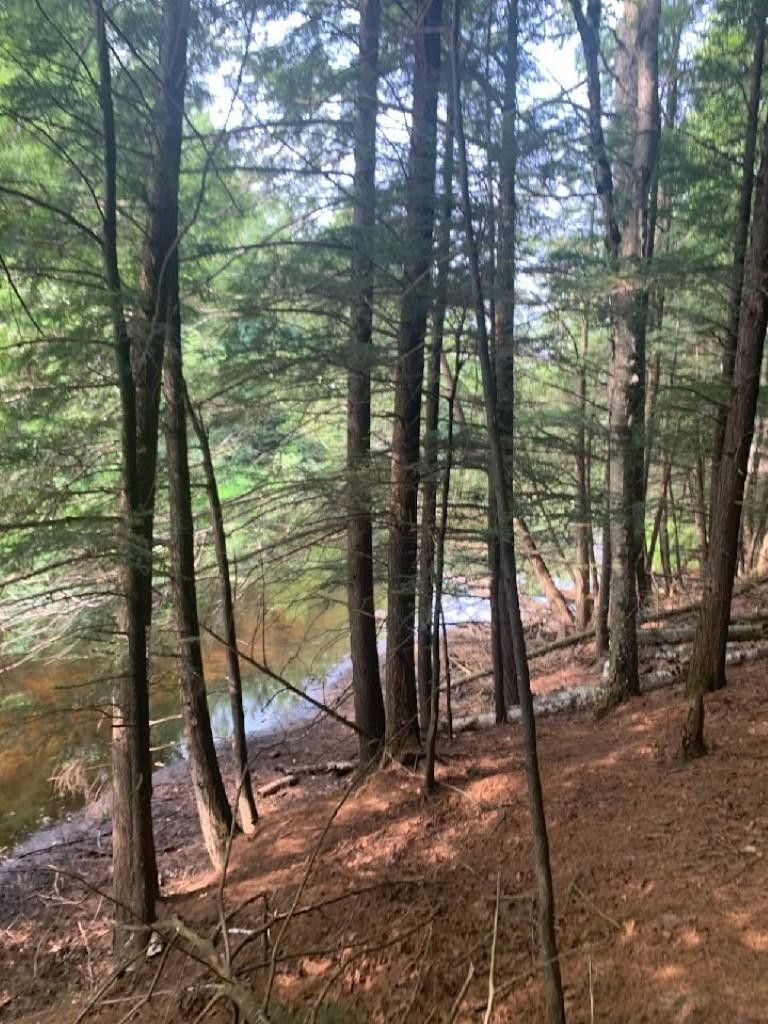 Lac Du Flambeau, Vilas County, WI Undeveloped Land, Lakefront Property