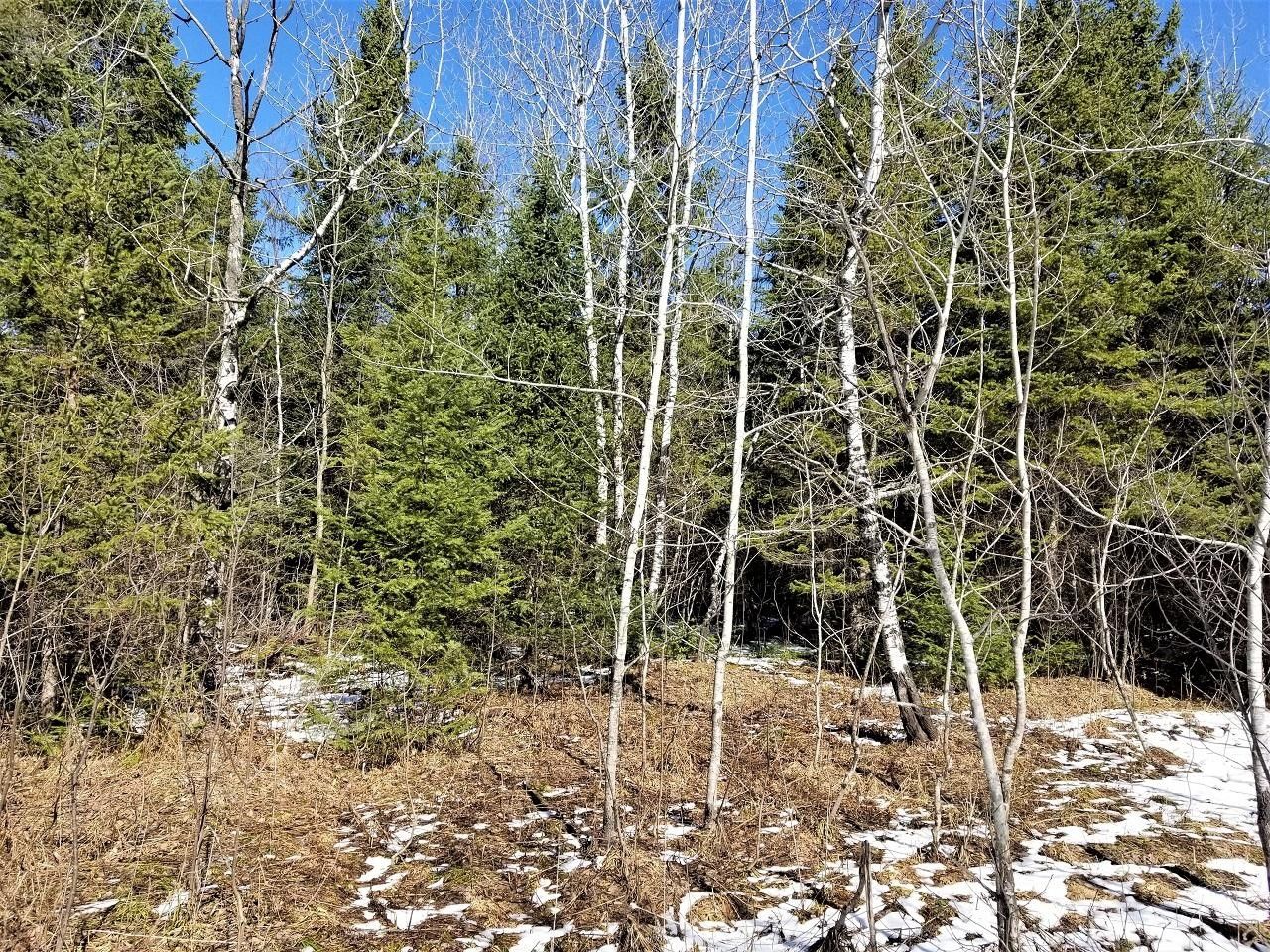 Saxon, Iron County, WI Undeveloped Land for sale Property ID 412923277