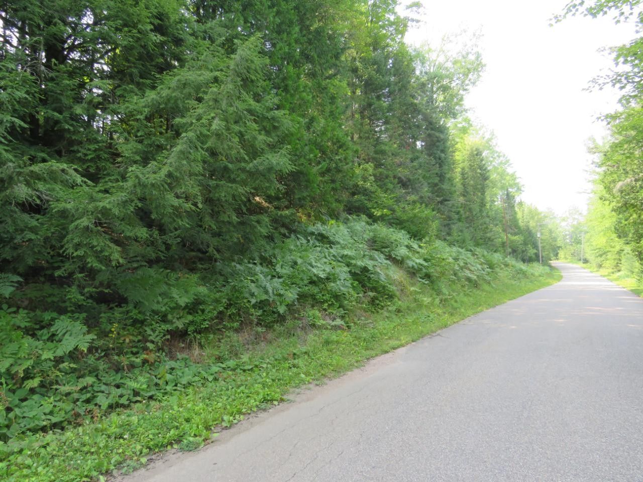Antigo, Langlade County, WI Undeveloped Land for sale Property ID 409500347 LandWatch