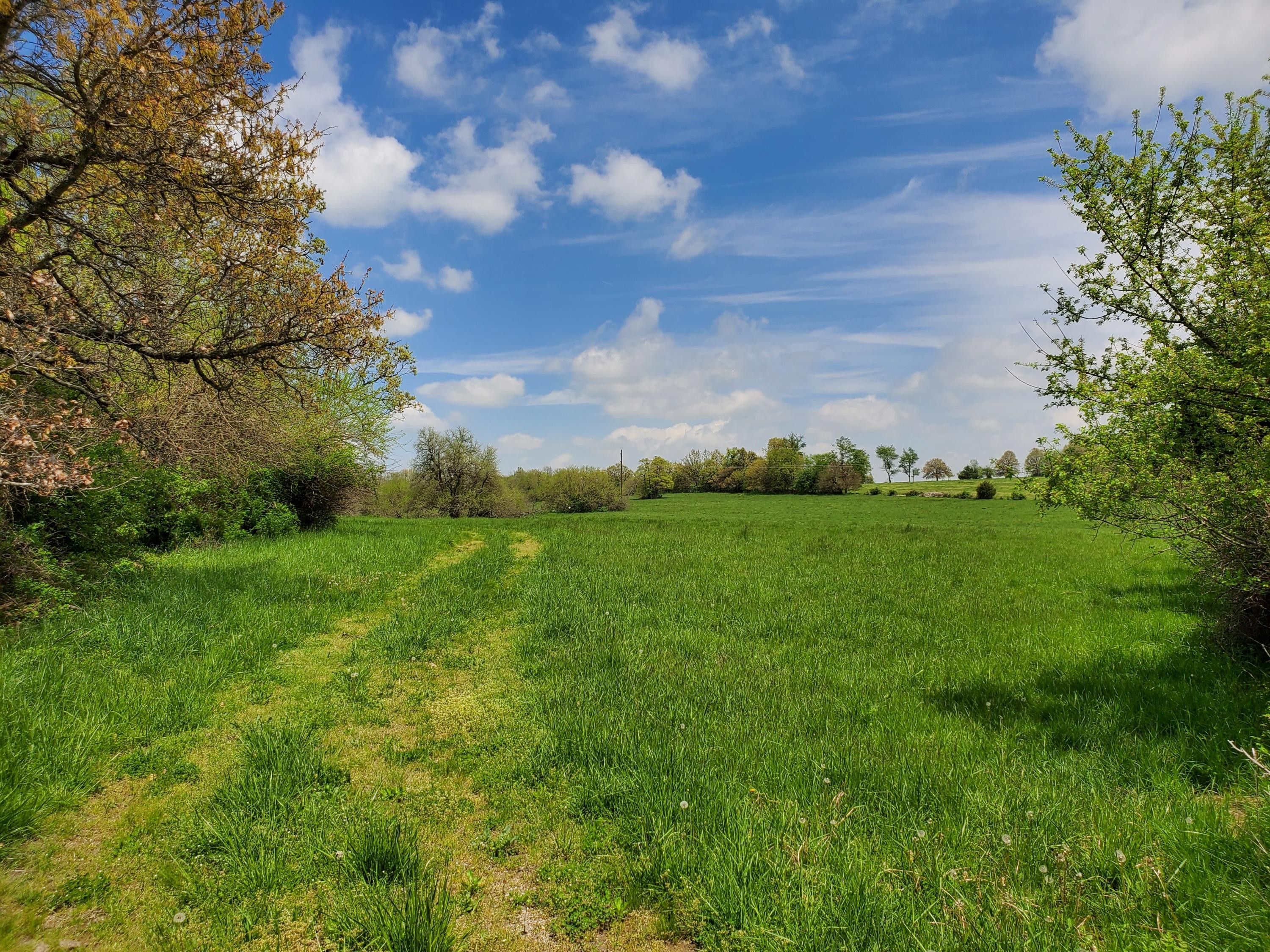 Billings, Christian County, MO Undeveloped Land for sale Property ID 410122770 LandWatch
