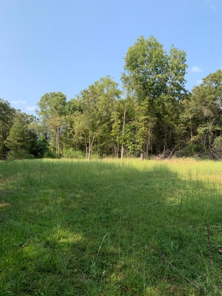 Cedar Creek, Taney County, MO Undeveloped Land, Lakefront Property