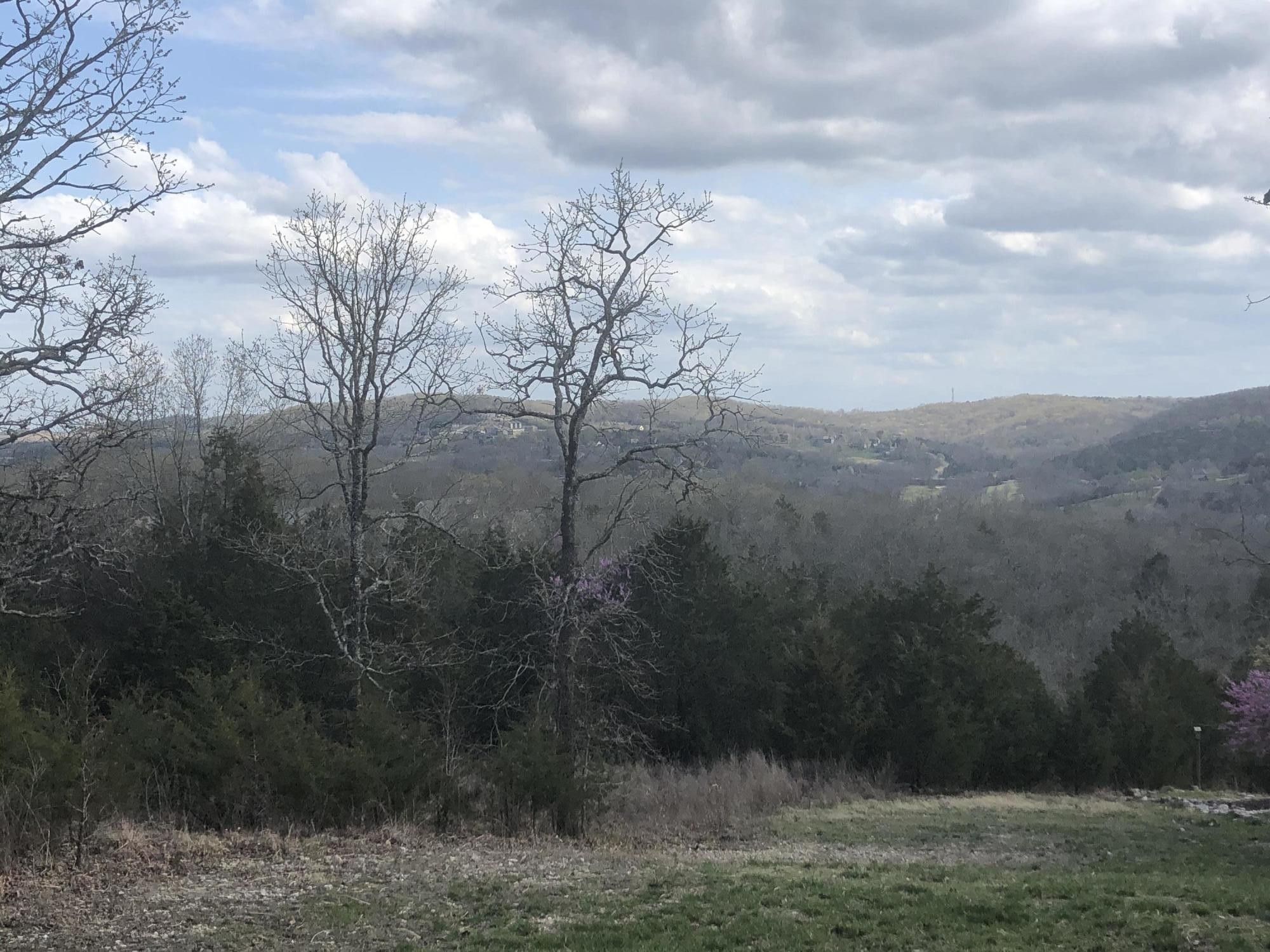 Branson, Stone County, MO Undeveloped Land, Lakefront Property