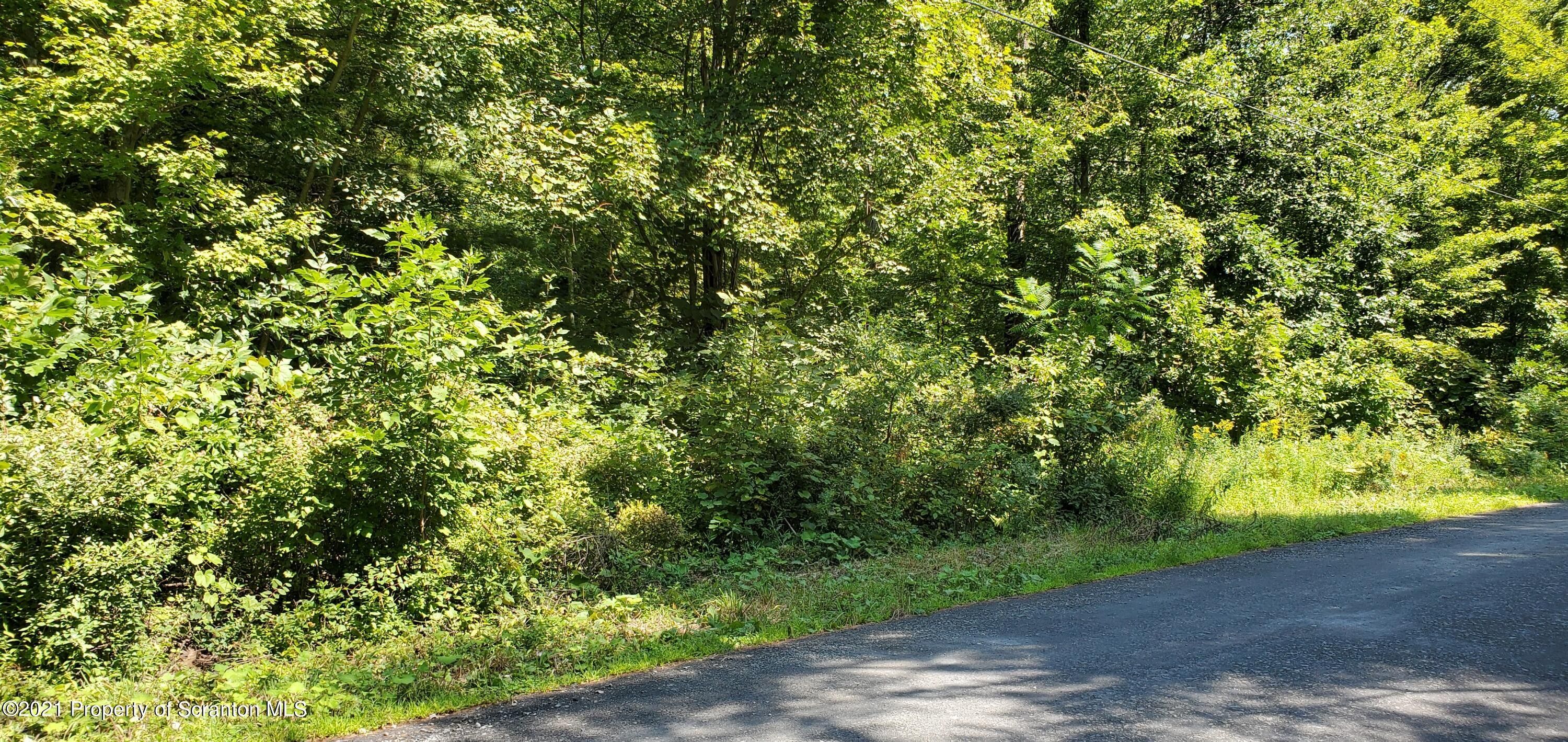 Tunkhannock, Wyoming County, PA Undeveloped Land for sale Property ID
