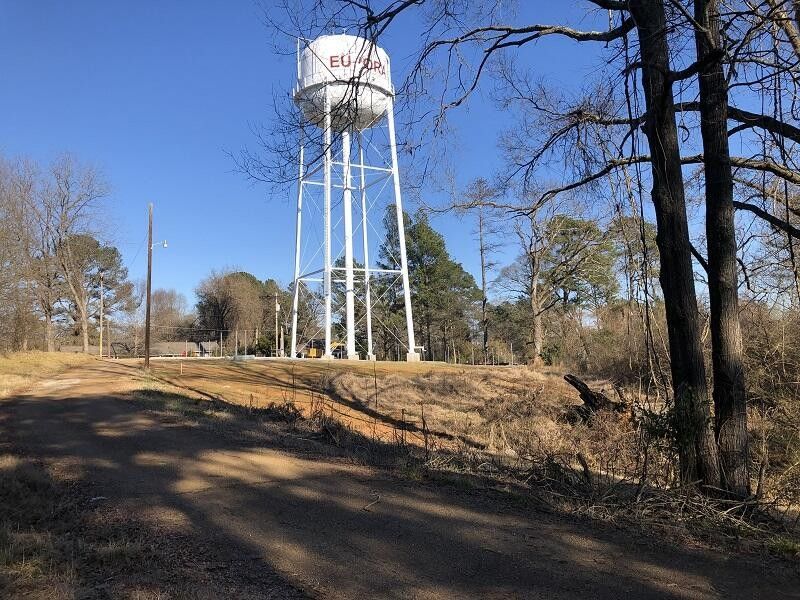 Eupora, ster County, MS Undeveloped Land for sale Property ID