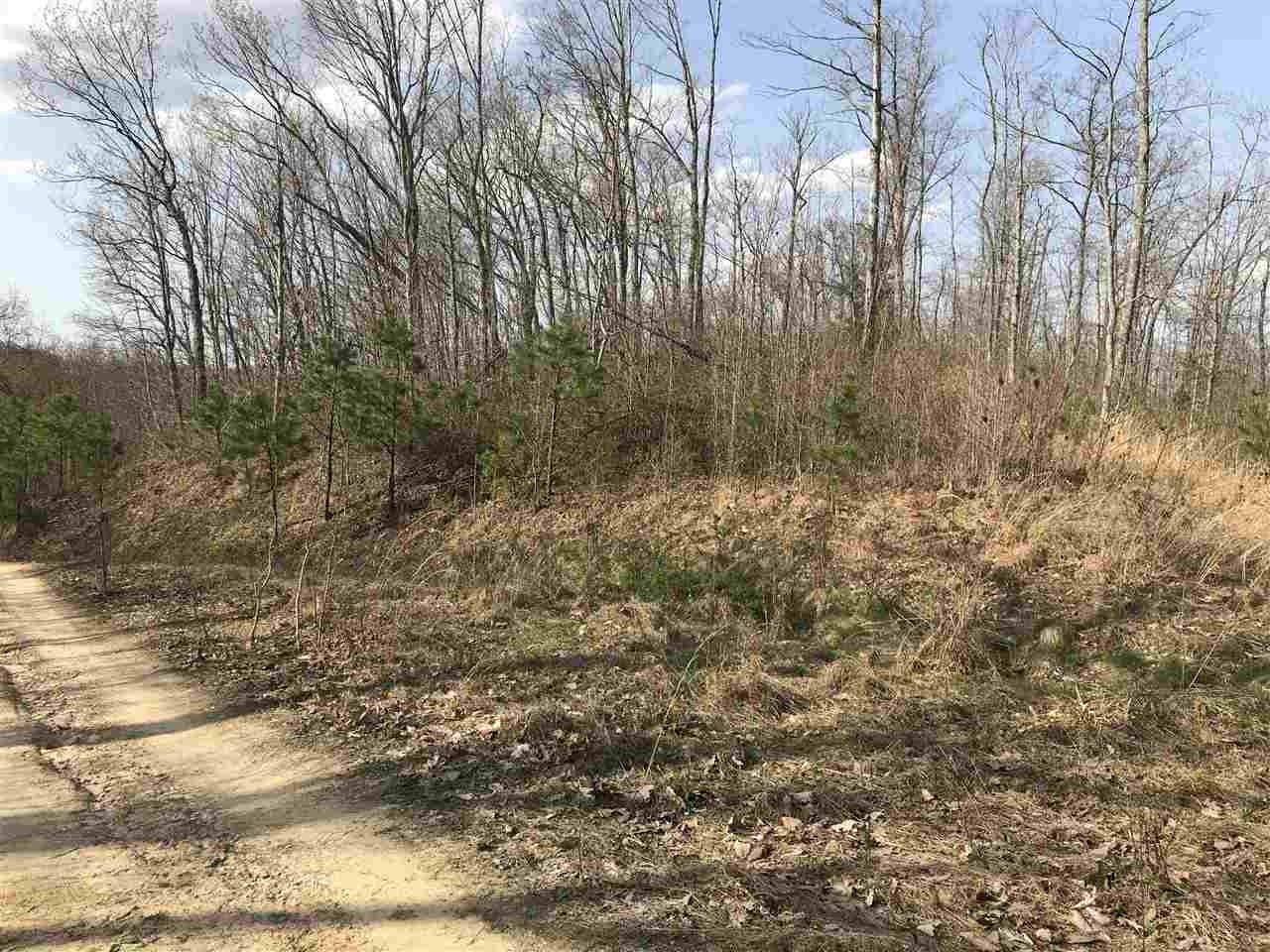 Dunlow, Wayne County, WV Undeveloped Land for sale Property ID
