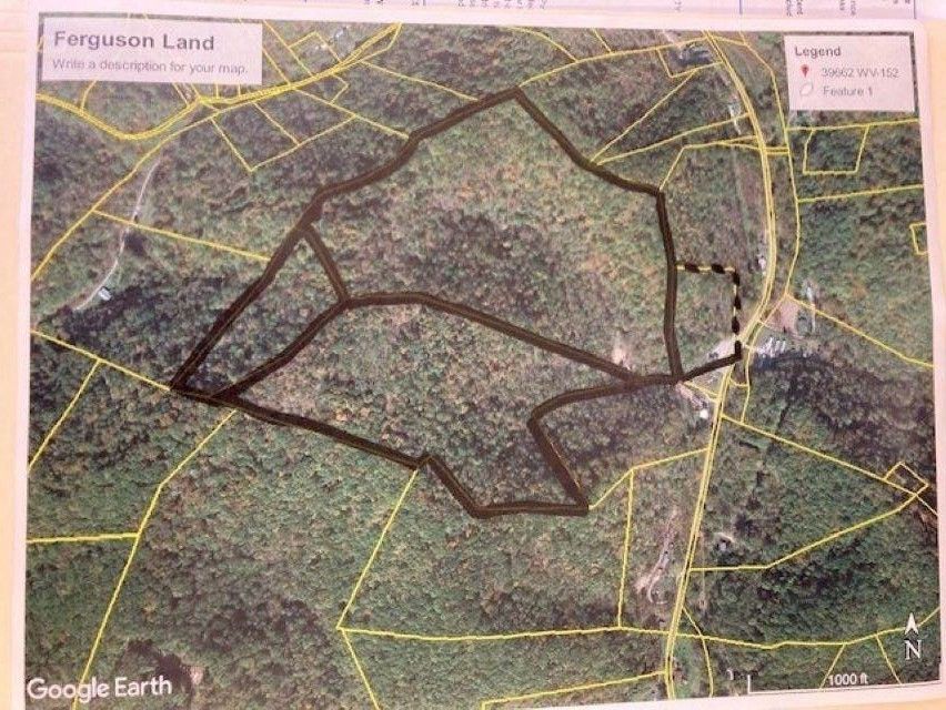 Dunlow, Wayne County, WV Undeveloped Land for sale Property ID