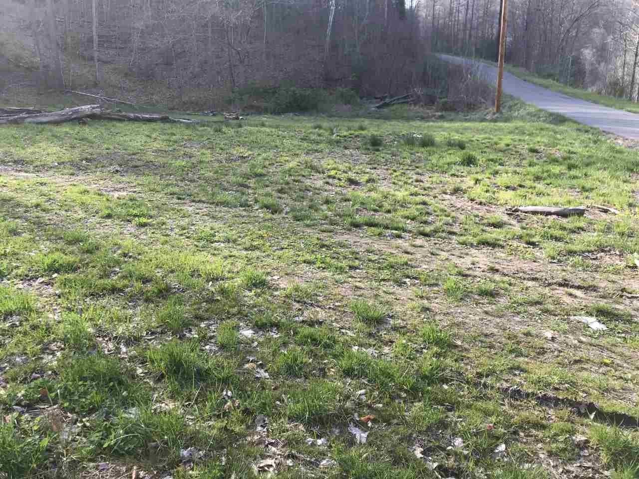 Dunlow, Wayne County, WV Farms and Ranches for sale Property ID