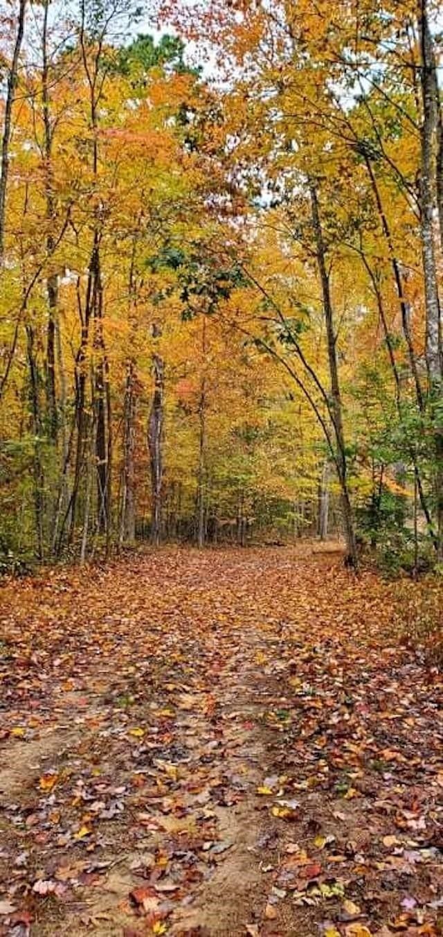 Branchland, Lincoln County, WV Farms and Ranches for sale Property ID