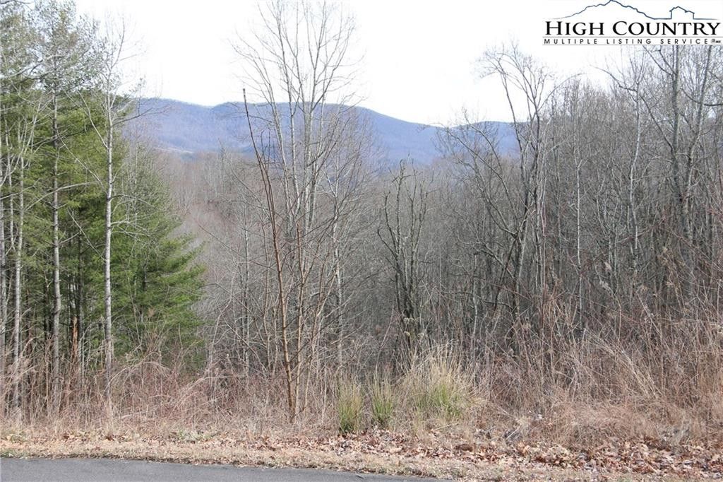 Creston, Ashe County, NC Undeveloped Land, Homesites for sale Property