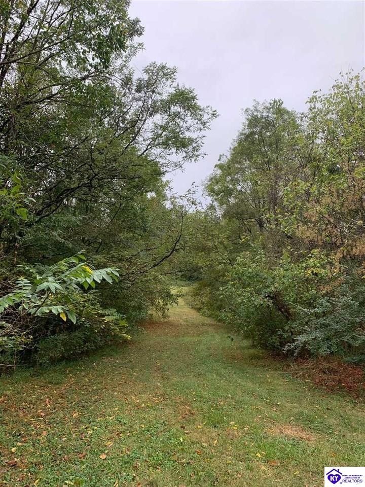 Campbellsville, Taylor County, KY Farms and Ranches, Homesites for sale Property ID 412610680