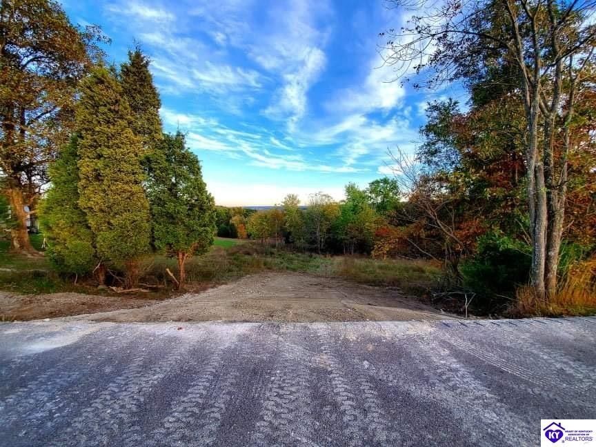 Battletown, Meade County, KY Undeveloped Land for sale Property ID