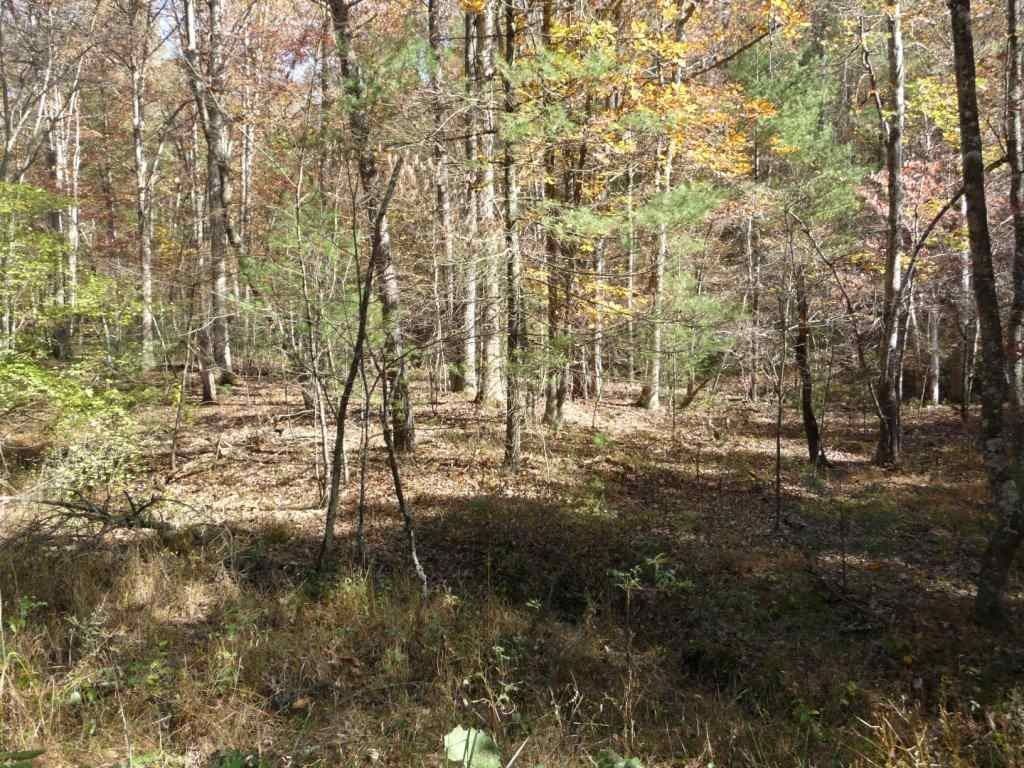 Mathias, Hardy County, WV Farms and Ranches for sale Property ID