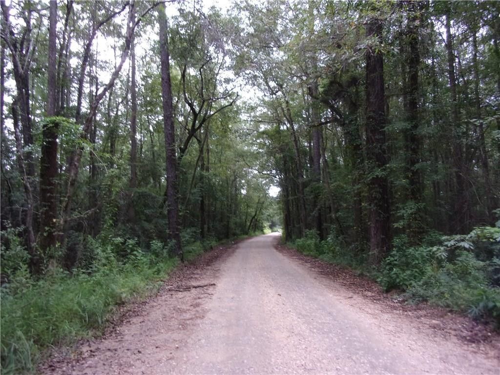 Axis, Mobile County, AL Undeveloped Land for sale Property ID