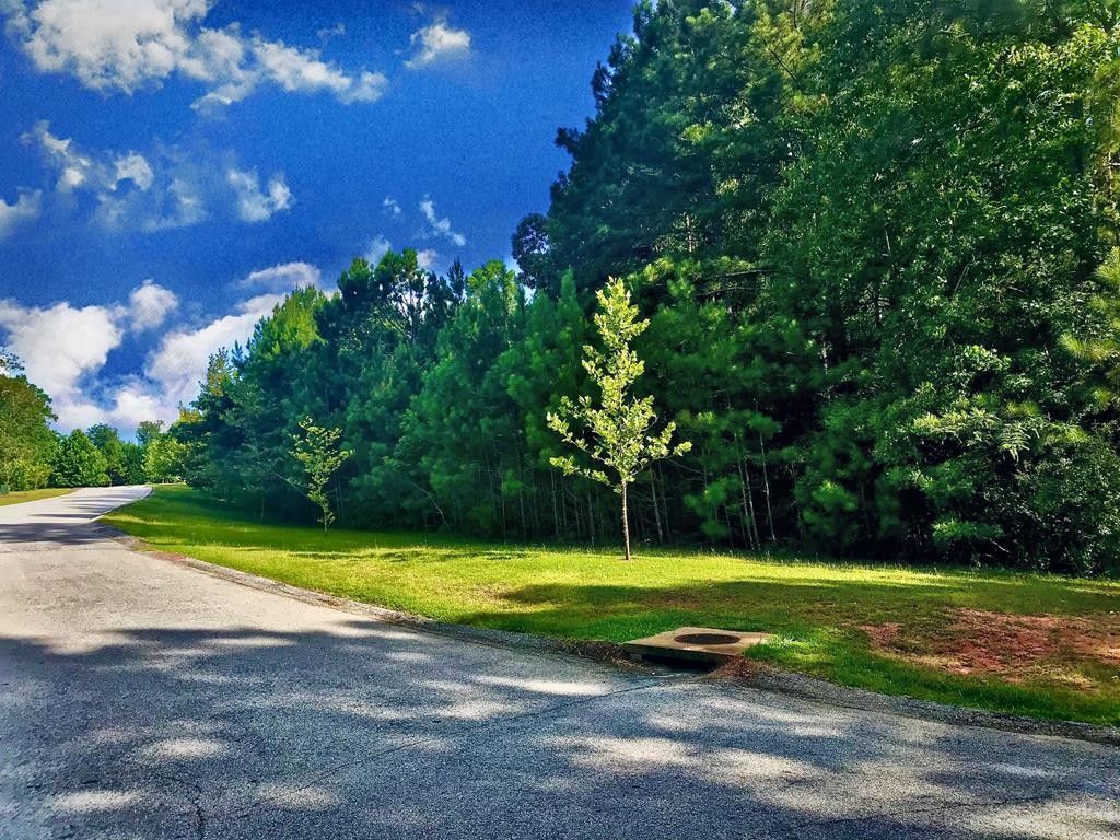 114 FRIENDFIELD LN, LOT 6, Greenwood, SC 29649 MLS 119457 LandWatch