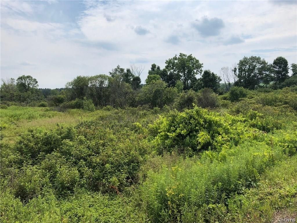 Cortland, Cortland County, NY Undeveloped Land for sale Property ID