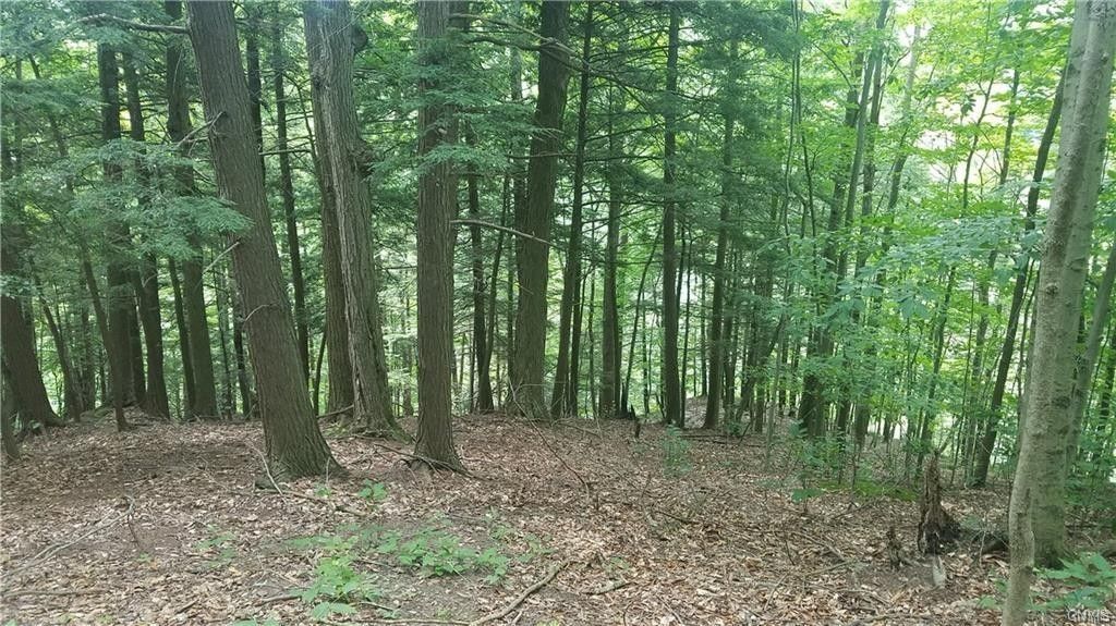 Syracuse, Onondaga County, NY Undeveloped Land for sale Property ID