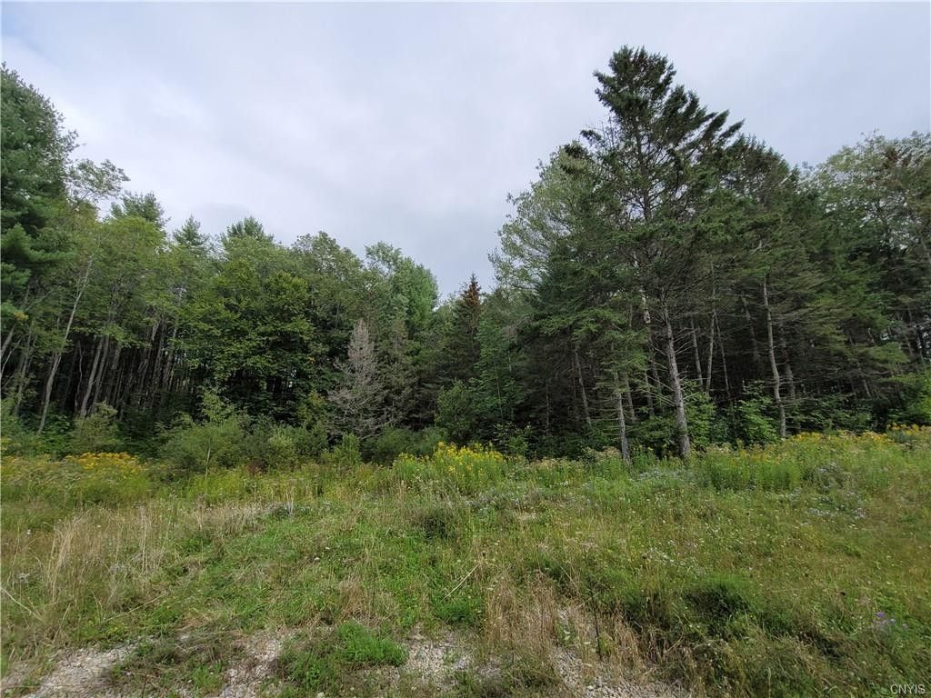 Turin, Lewis County, NY Undeveloped Land for sale Property ID