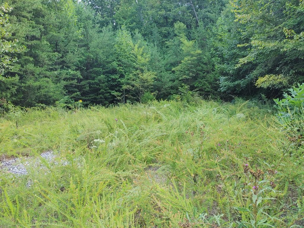 Newport, Cocke County, TN Undeveloped Land, Homesites for sale Property ID 411597106 LandWatch