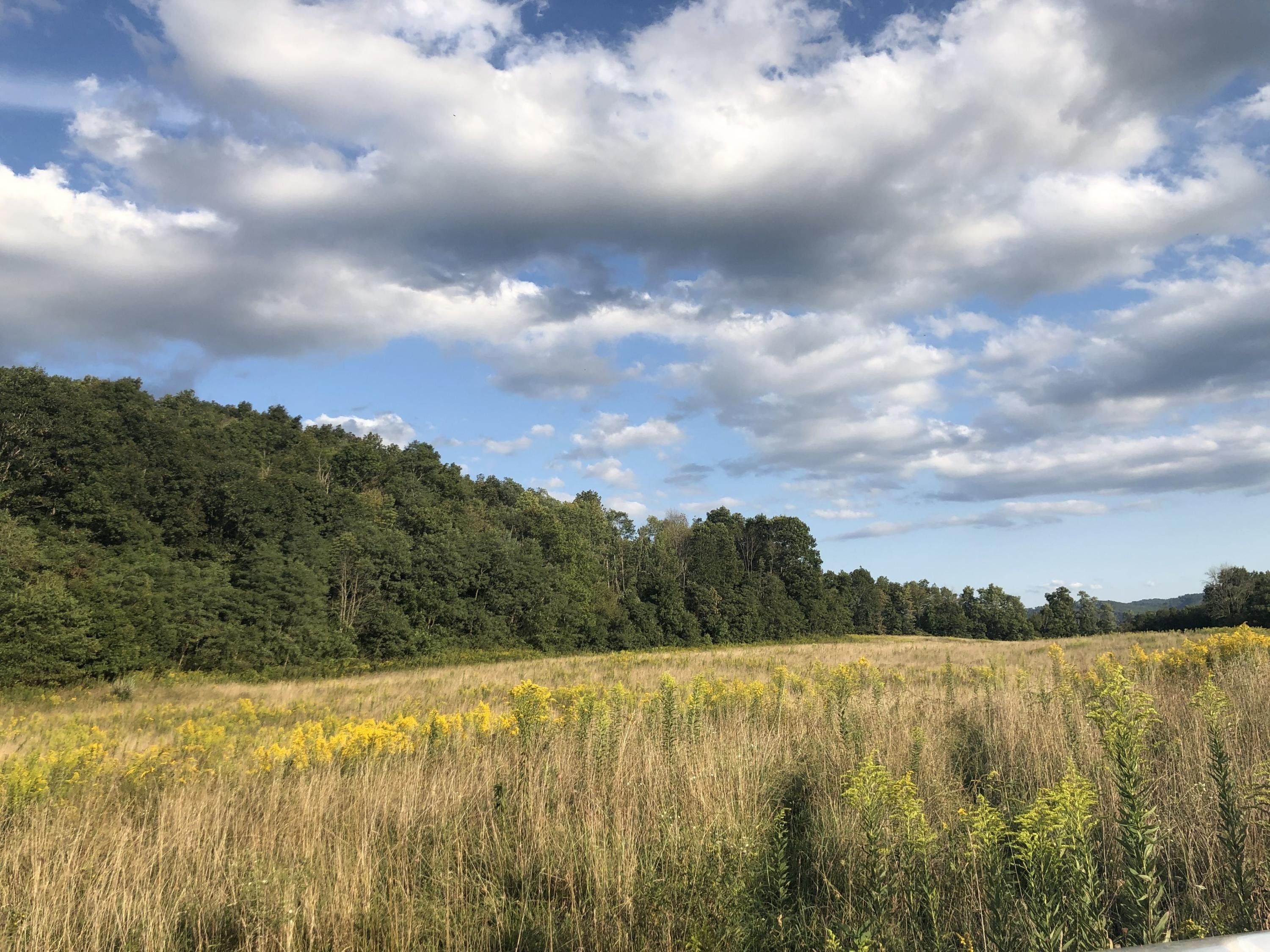 Hillsboro, Pocahontas County, WV Undeveloped Land for sale Property ID