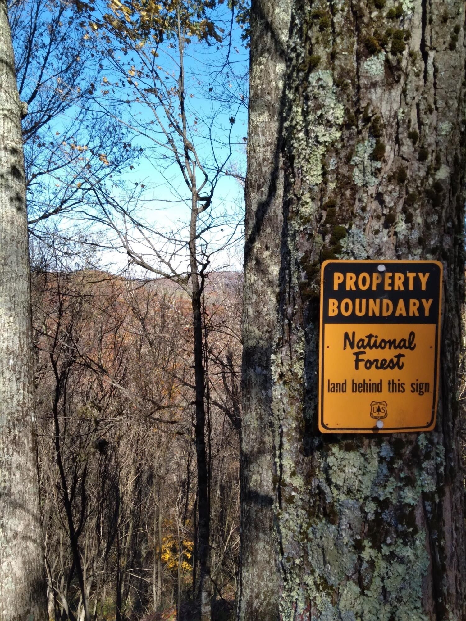 Greenbank, Pocahontas County, WV Undeveloped Land for sale Property ID 412392673 LandWatch