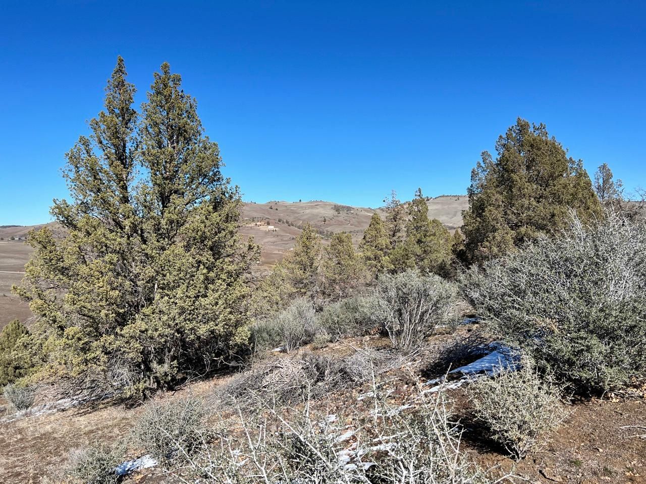 Montague, Siskiyou County, CA Recreational Property, Undeveloped Land