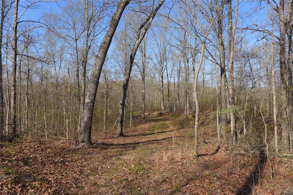 Marquand, Madison County, MO Recreational Property, Timberland Property