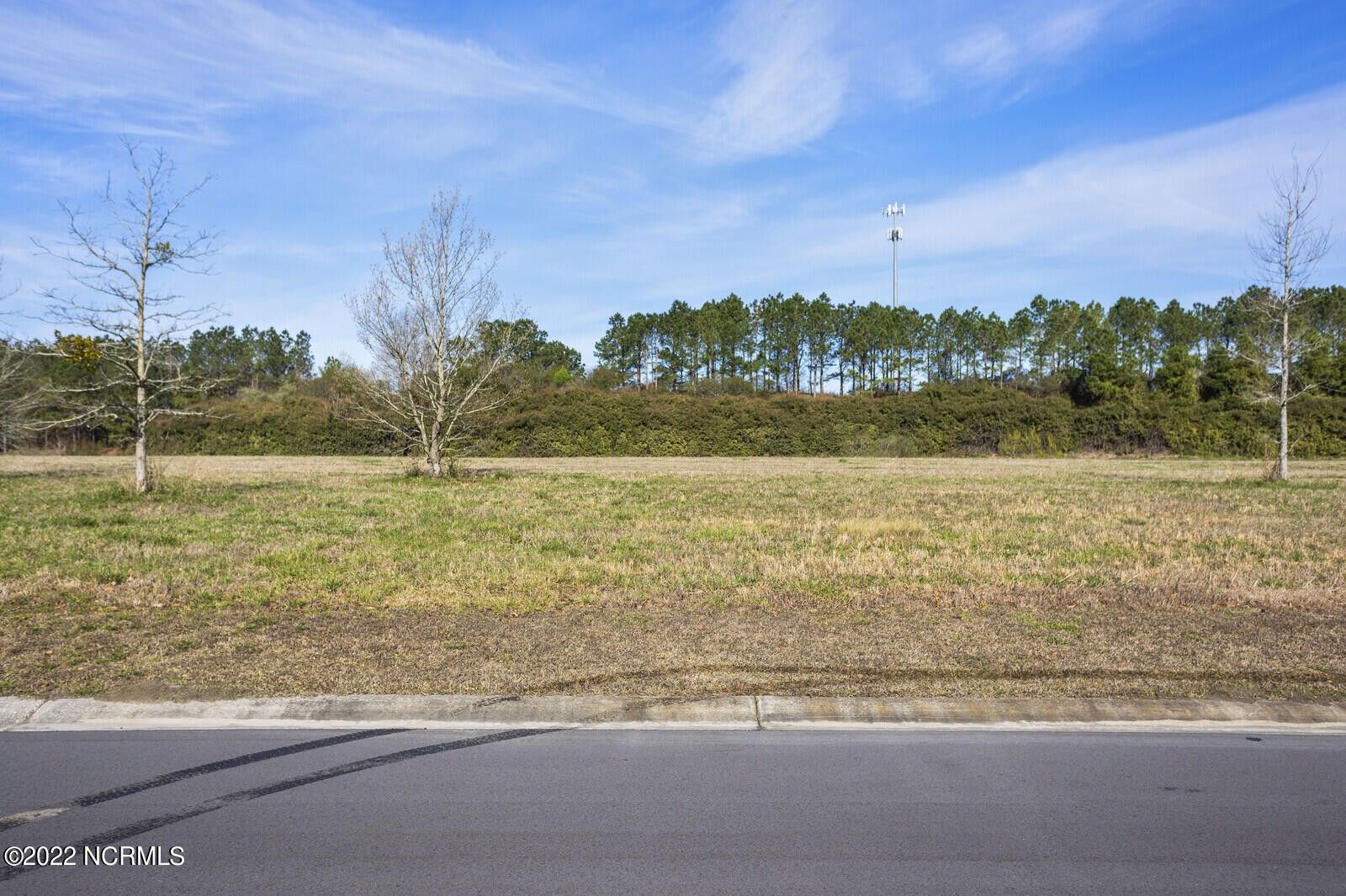 Wallace, Duplin County, NC Undeveloped Land, Lakefront Property