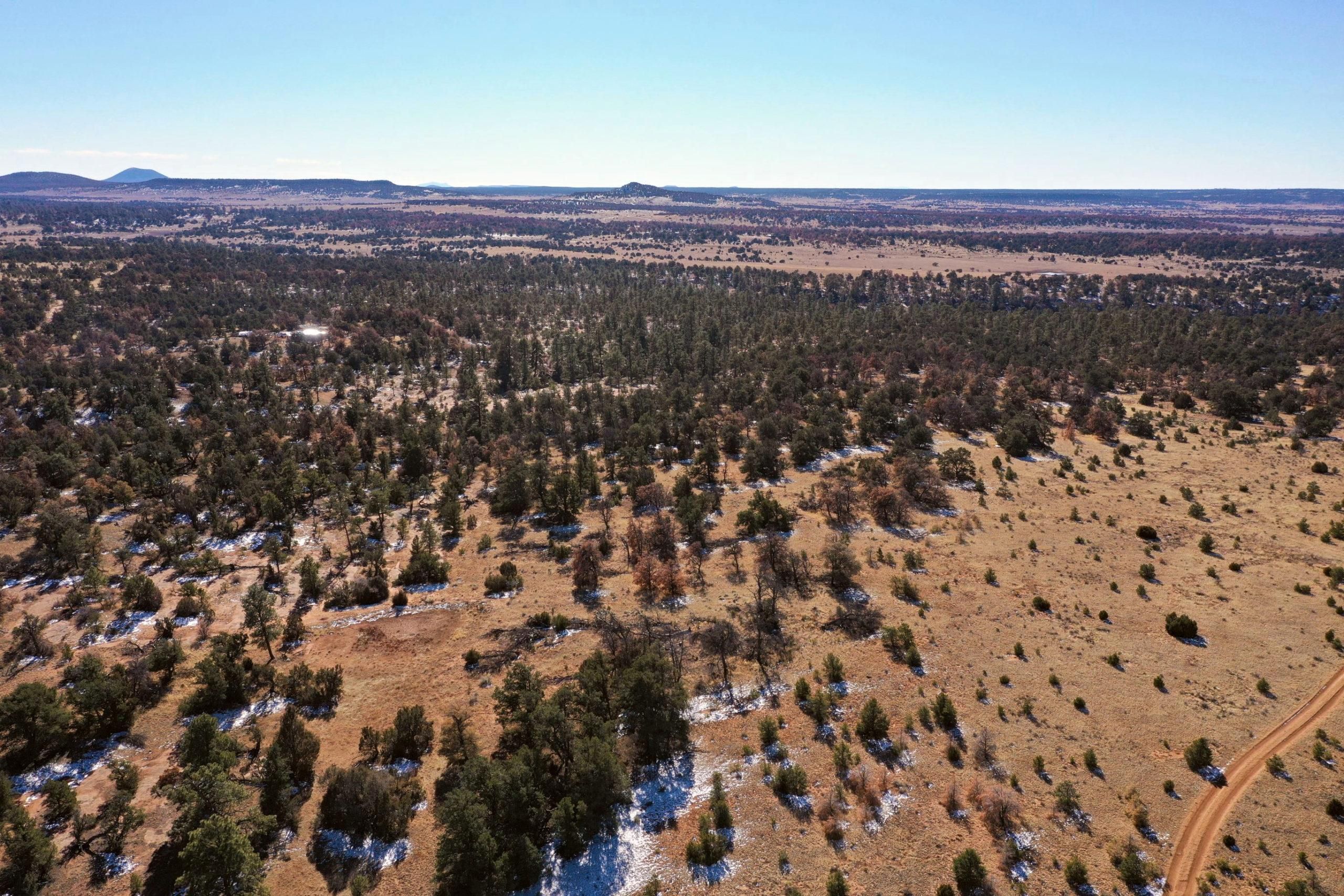 Pinehill, Cibola County, NM Recreational Property, Undeveloped Land, Homesites for sale Property