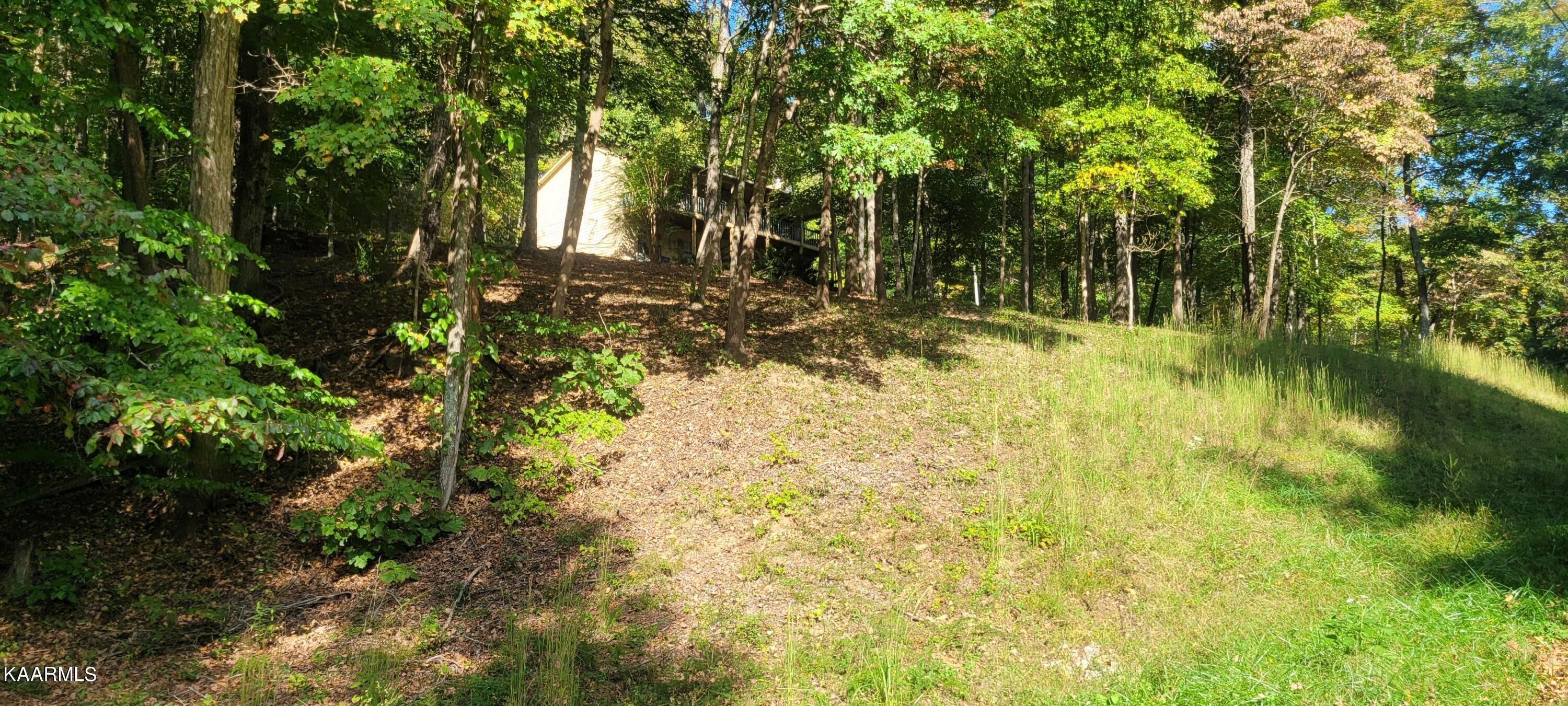 Sharps Chapel, Union County, TN Undeveloped Land for sale Property ID