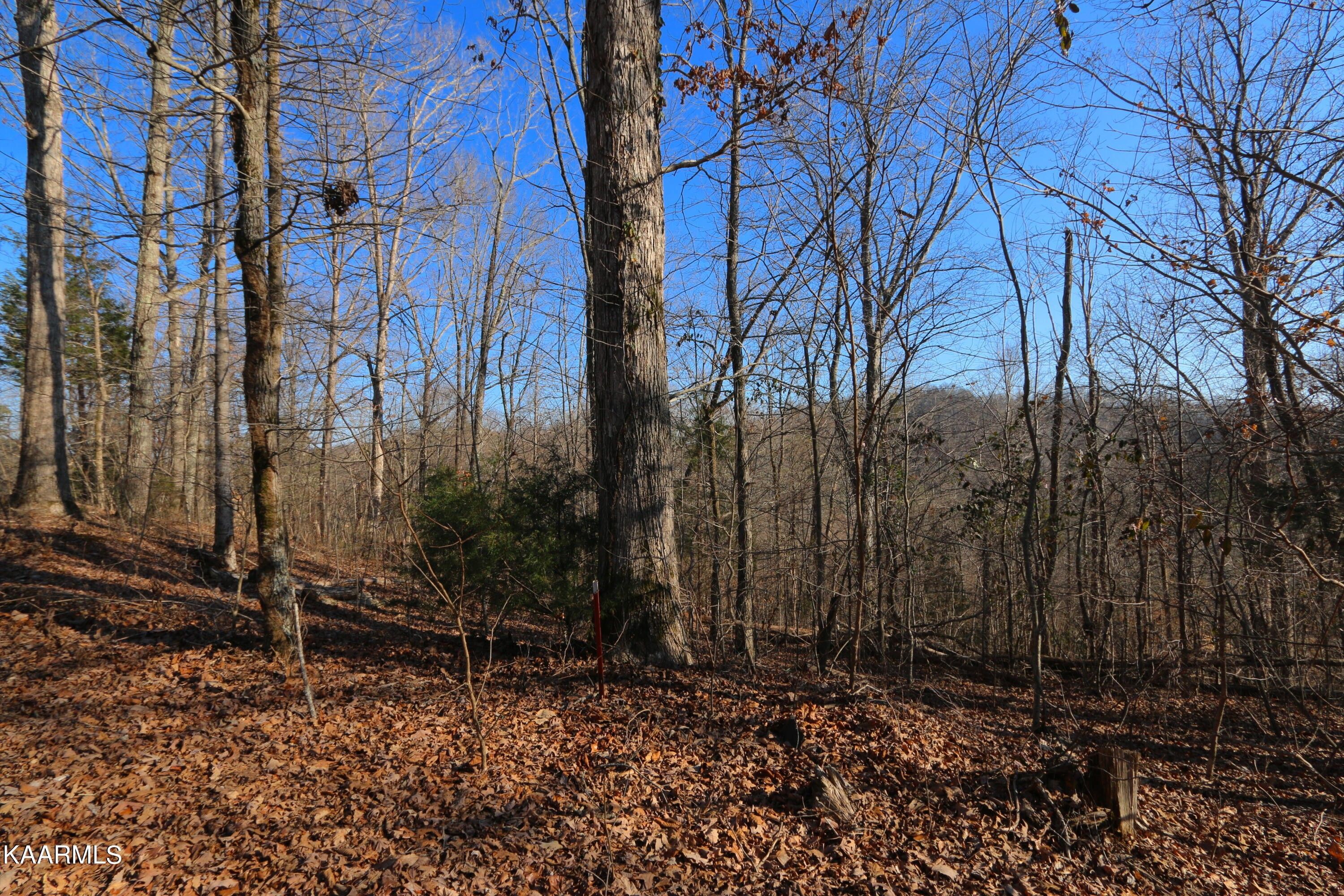 Madisonville, Monroe County, TN Homesites for sale Property ID