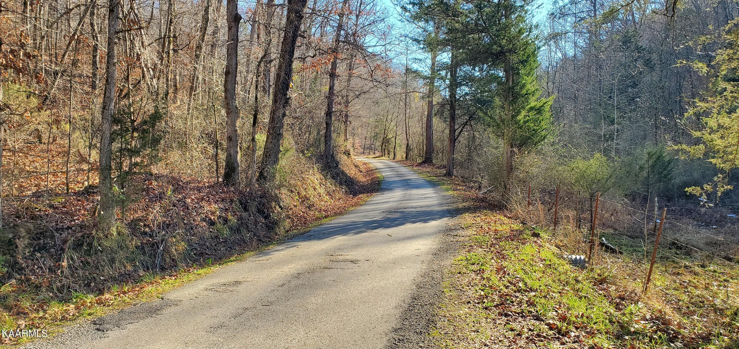 Speedwell, Claiborne County, TN Undeveloped Land for sale Property ID