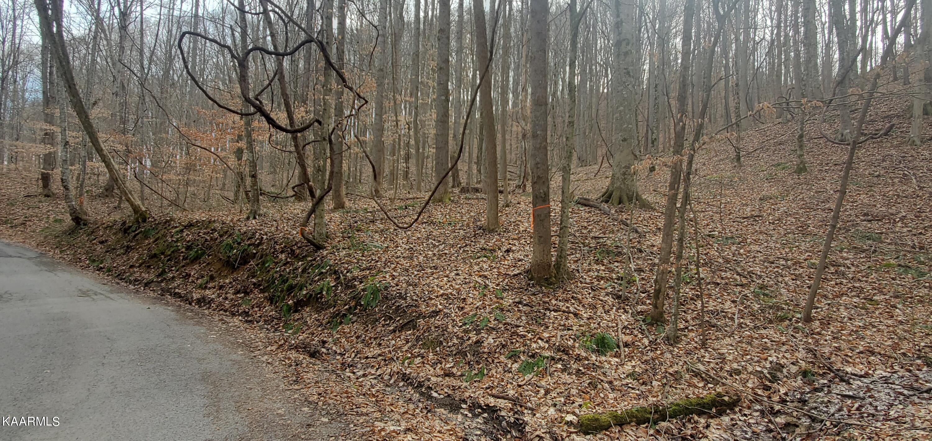 Clairfield, Claiborne County, TN Undeveloped Land for sale Property ID