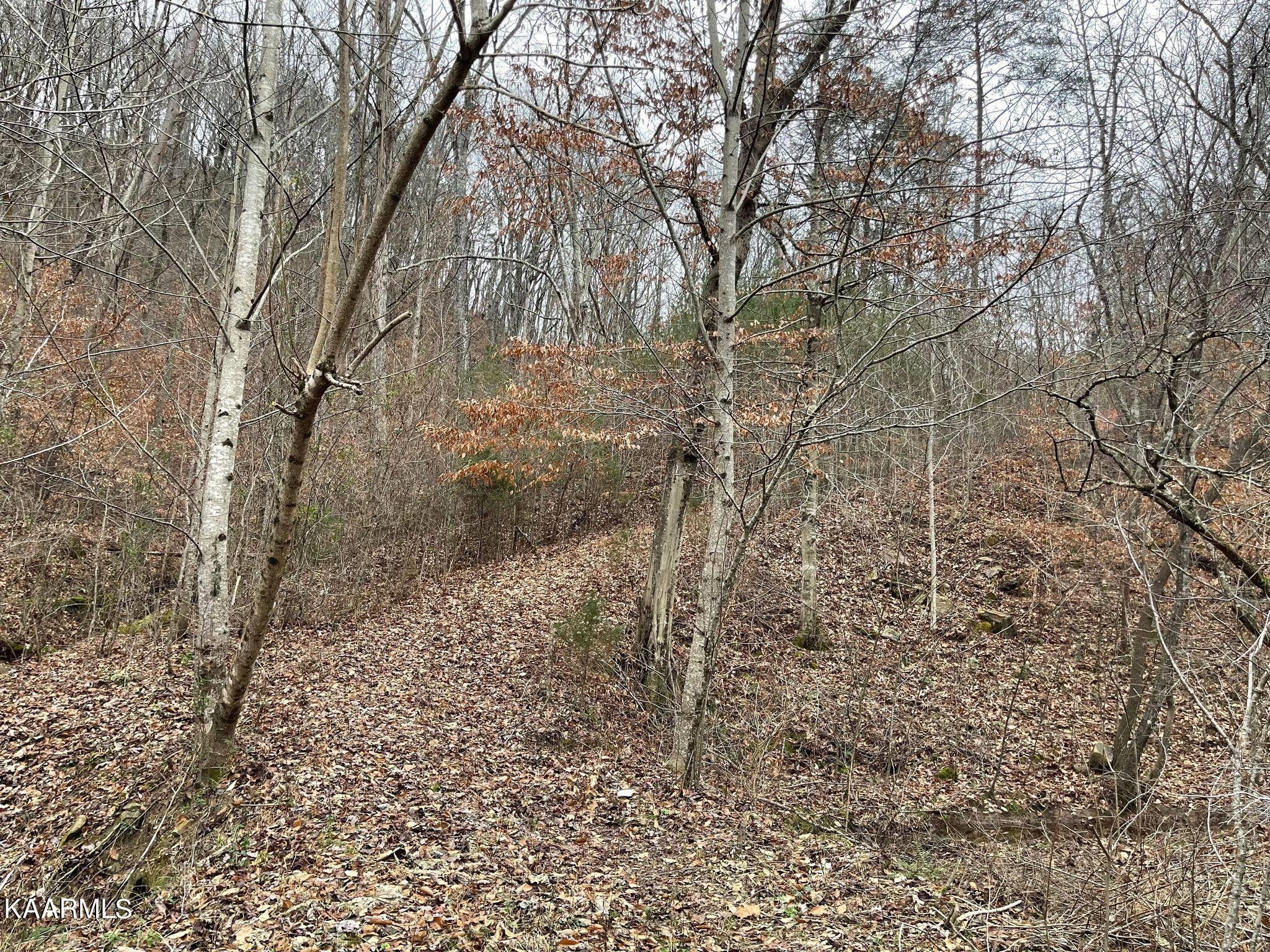 Rutledge, Grainger County, TN Undeveloped Land, Homesites for sale