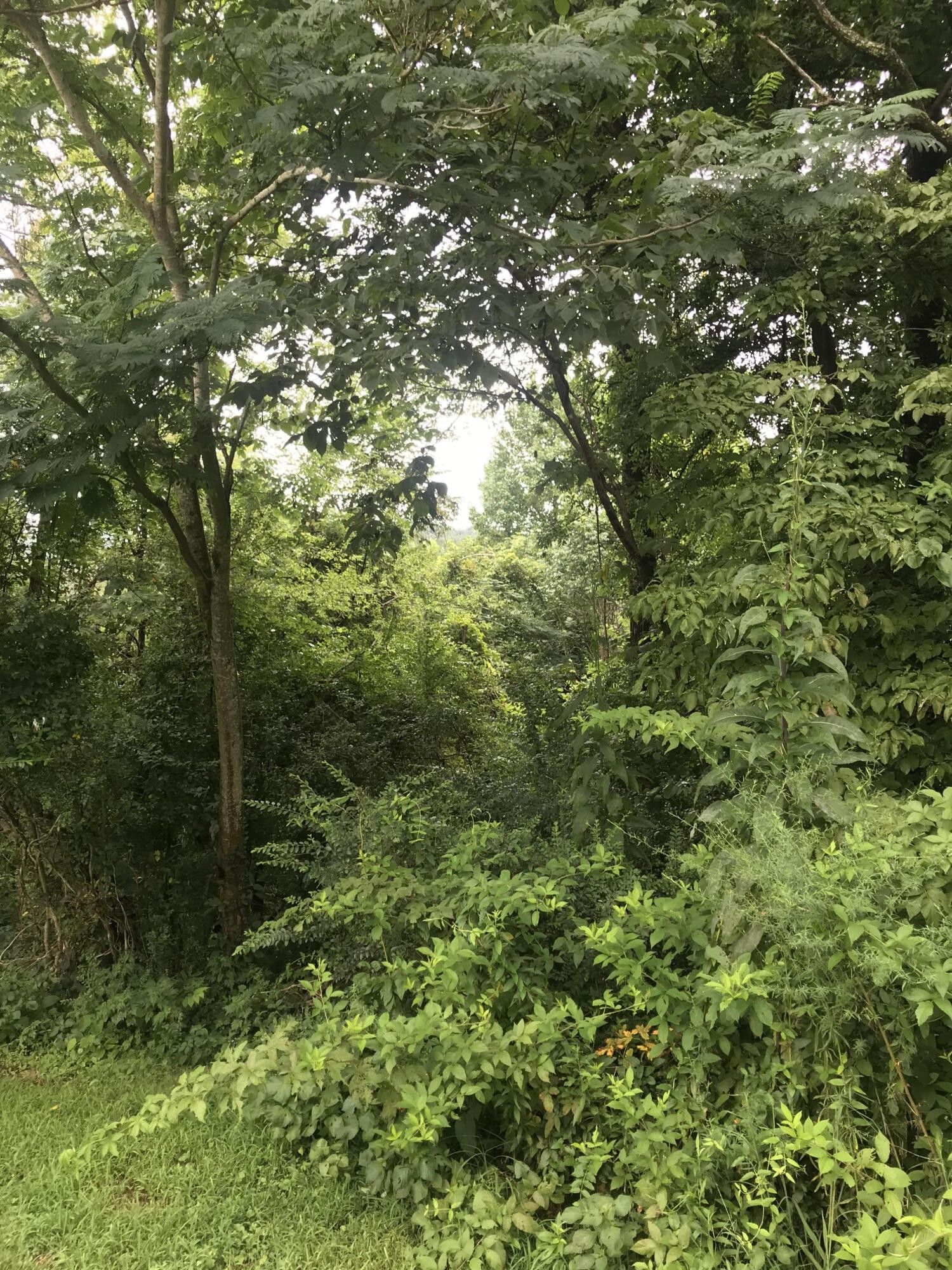 Englewood, Monroe County, TN Undeveloped Land for sale Property ID