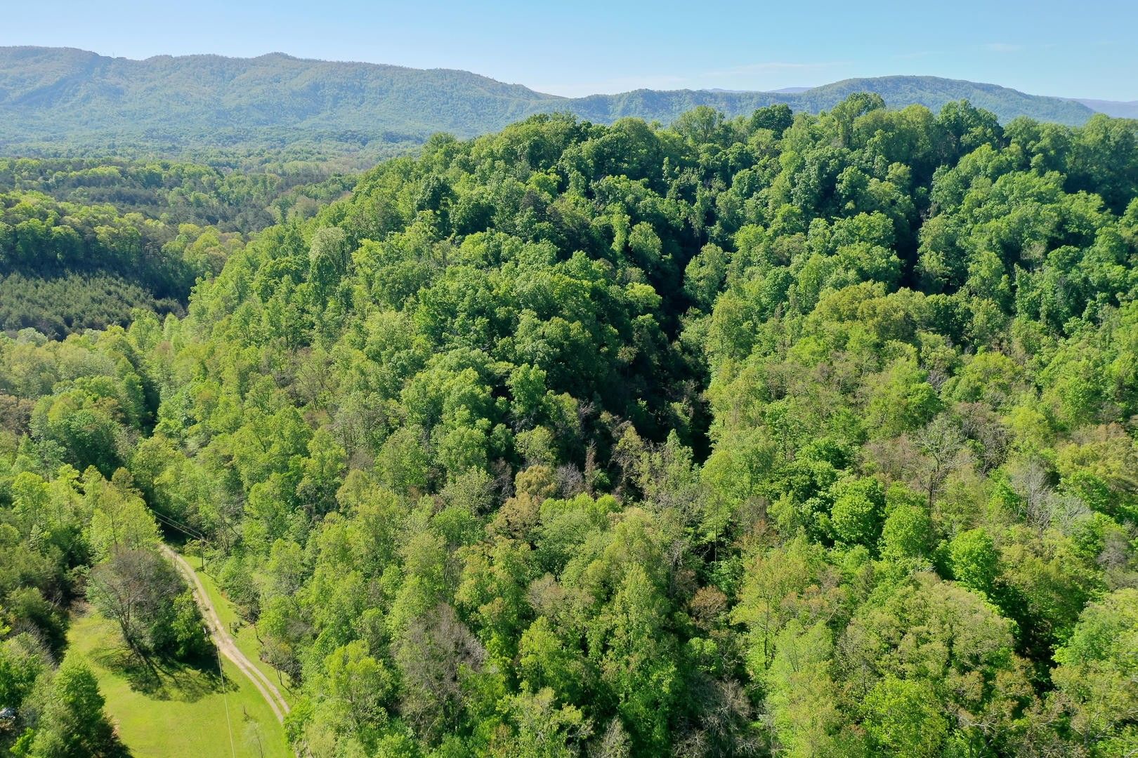 Maryville, Blount County, TN Undeveloped Land for sale Property ID 410190255 LandWatch
